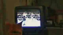 Funny Boxing Cat Watch Box on TV - Really Funny !