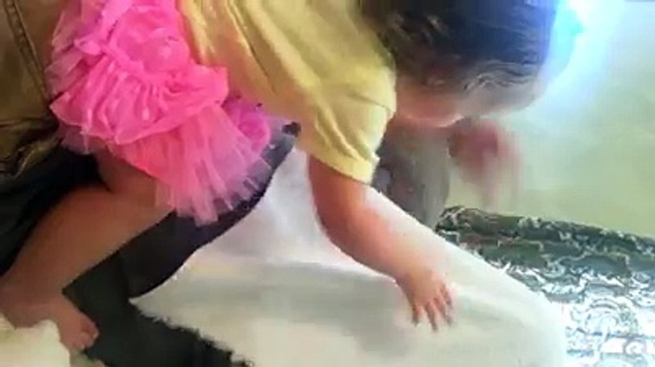 funny clip