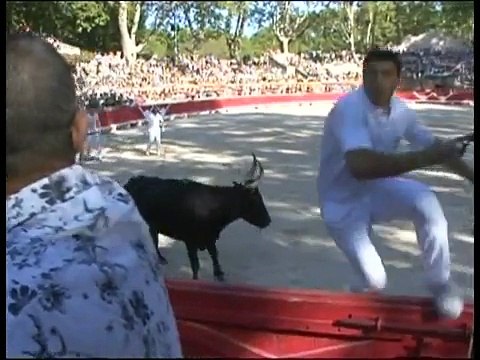 Noir et Blanc du mardi 27 juillet 2010 (3/3)