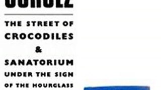 Download The Fictions of Bruno Schulz The Street of Crocodiles  Sanatorium Under the Sign of the Hourglass ebook {PDF} {EPUB}