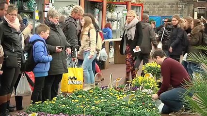 Duitsland verkent Groninger bloemetjesmarkt - RTV Noord