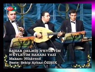 Melihat GÜLSES *Bahar Gelmiş N'eyleyim N'eyleyim Baharı Yazı*