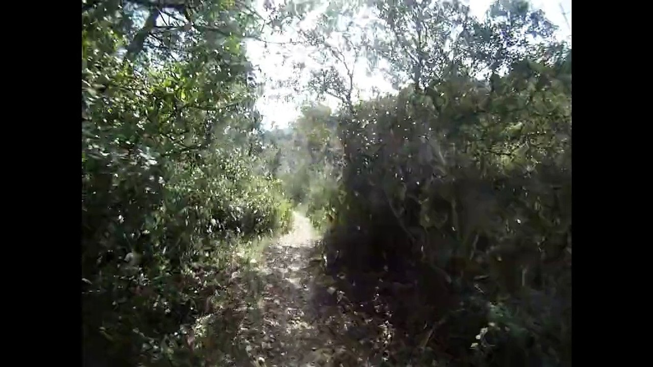 y a pas que d'la pierre