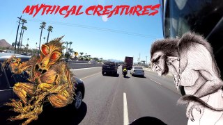 Mythical Creatures, Lane Split Buddies, and How I Got My 1st GoPro