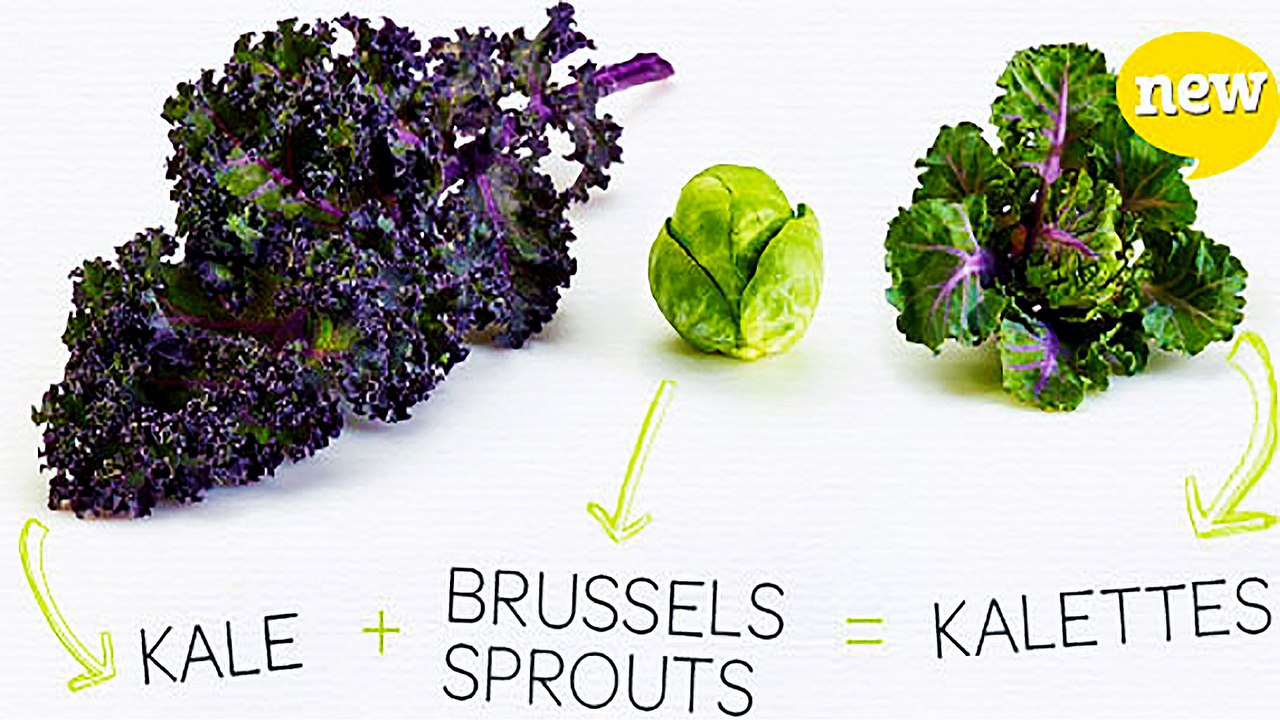 Kalette is the Latest Vegetable Hybrid Made From Kale and Brussels Sprouts