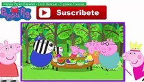 Peppa Pig en Español - En El Bosque - El paseo Forestal