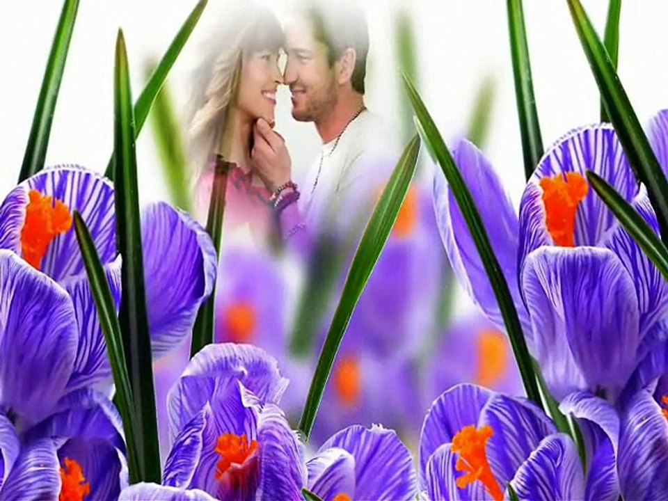 Oy Oy Sevduğum (Grup Koliva)