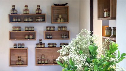 Cultura Latina – Jams, spices and comic books