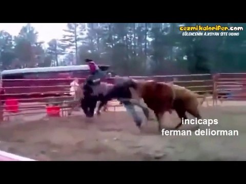 Ortaya Karışık - Hayvanlar Alemi