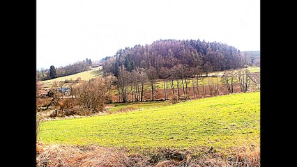 Galeria na płocie u Pani Sołtys w Starym Wielisławiu 1-kw.2015 r.