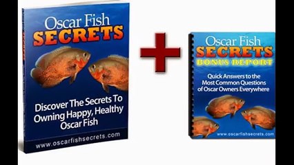 Oscar Fish Secrets