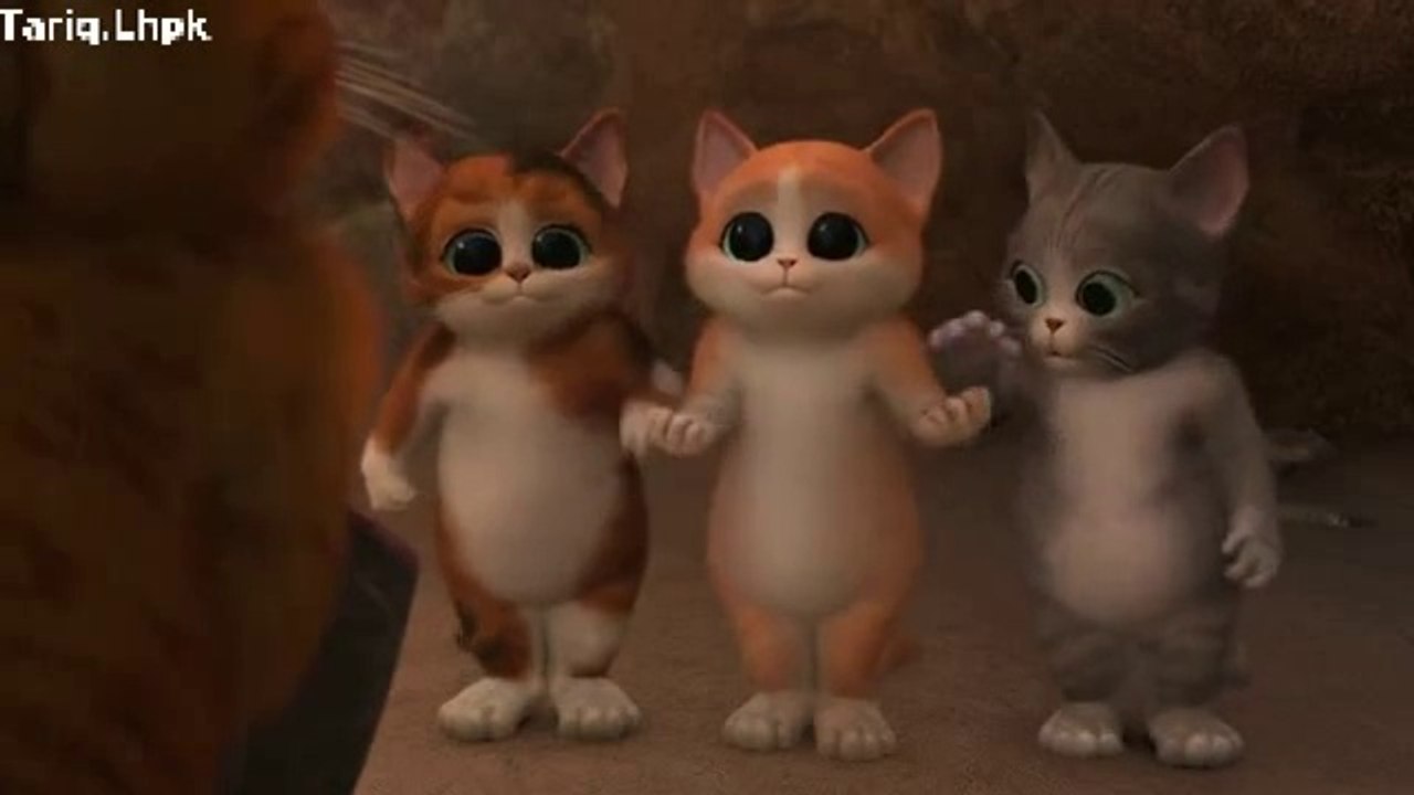 CAT ANIMATION FIFING