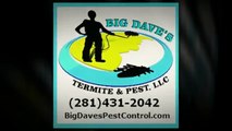 Big Dave's Termites & Pest Control-Exterminator near Fresno TX