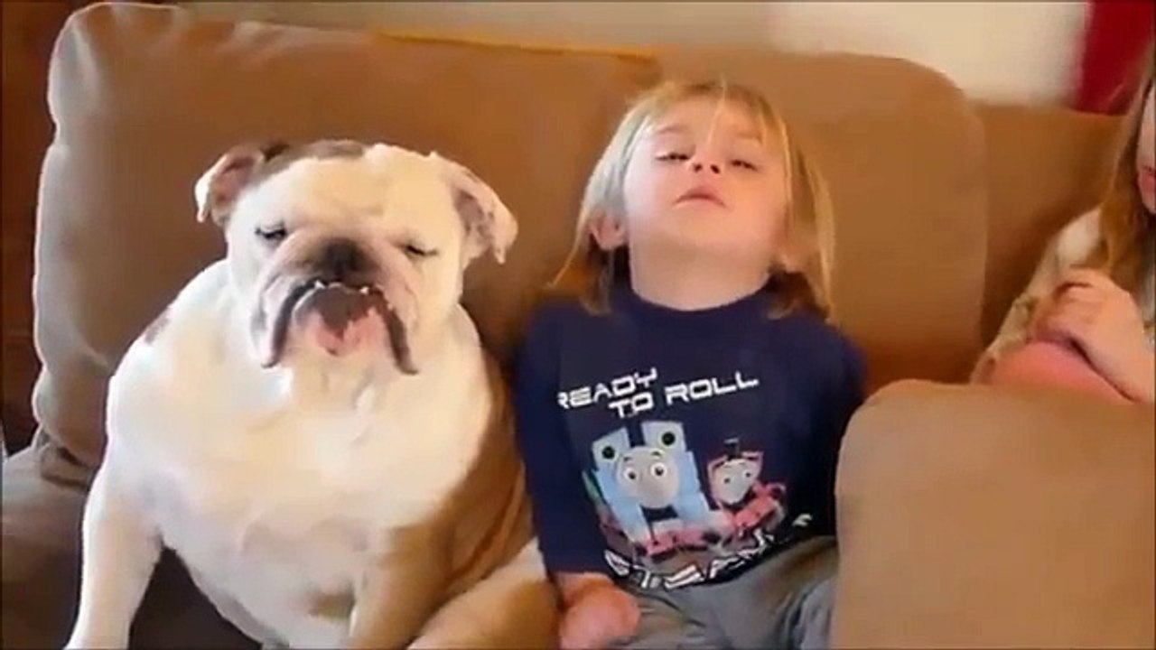 Dogs Best Nannies for Kids Compilation November 2013