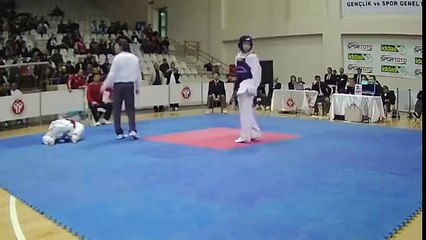 Taekwondo Knockouts