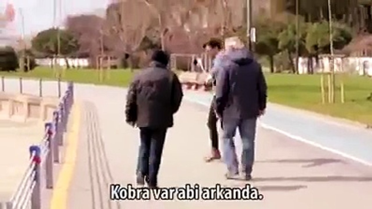 Hayrettin from snake joke