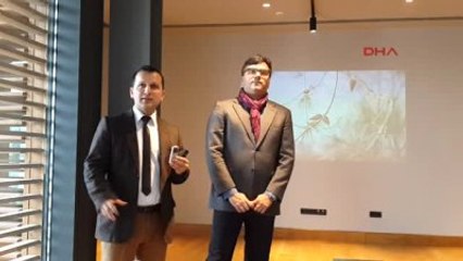 250 Ağaç Yeni Yerinde