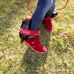 From Red Carpet of OSCAR to Sky!