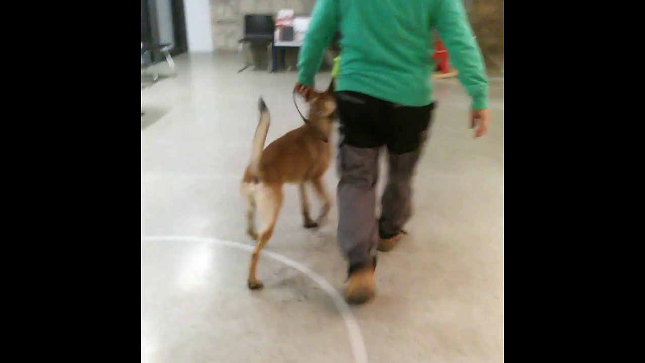 Be Aware Gorky @ Röntgen