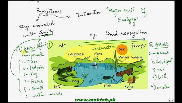 FSc Biology Book2, CH 25, LEC 1; Introduction Ecosystem and Ecology