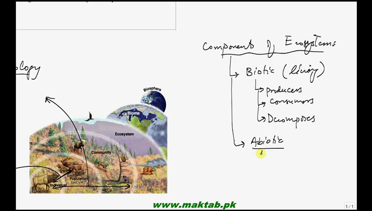 FSc Biology Book2, CH 25, LEC 2; Autecology, Syncology, Biotic and Abiotic Component of ecosystem