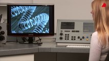 The Scanning Electron Microscope