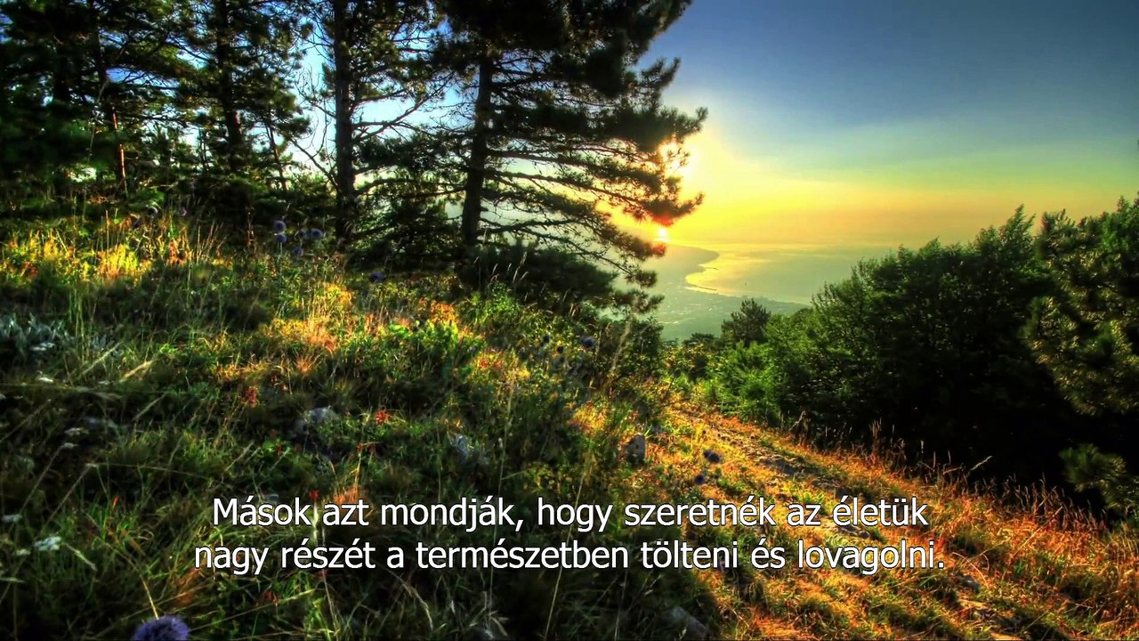 Mit csinálnál akkor, ha a pénz nem számítana? (Alan Watt)