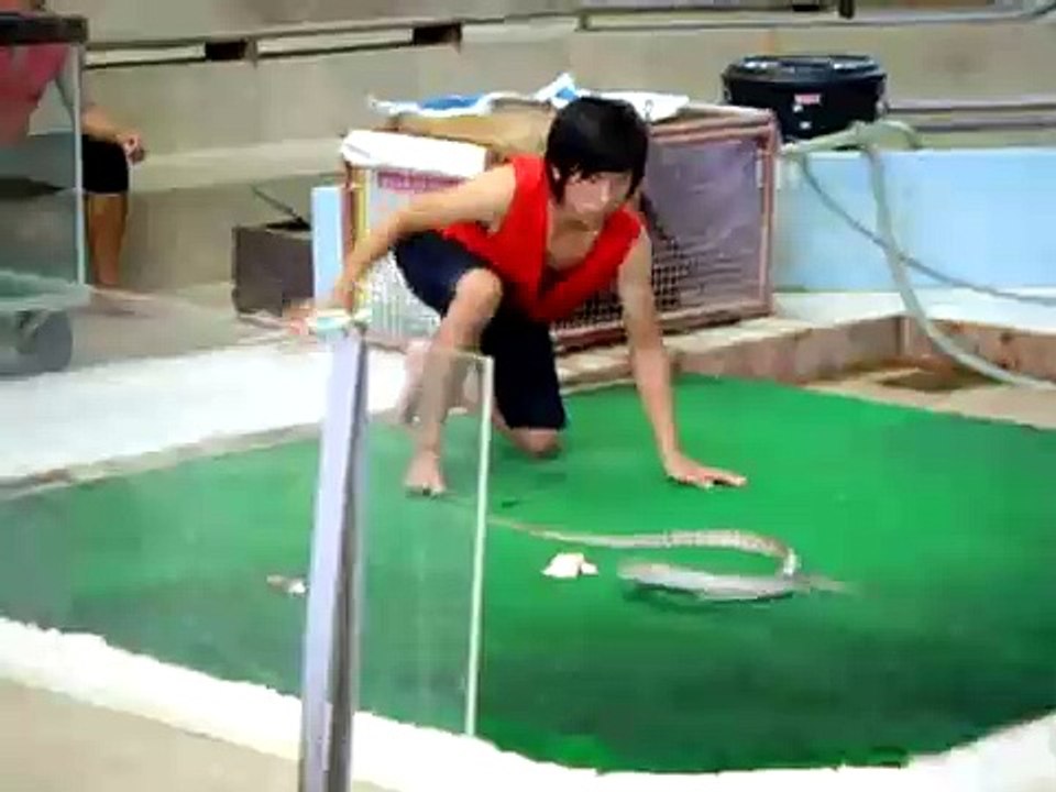 Woman vs Snake
