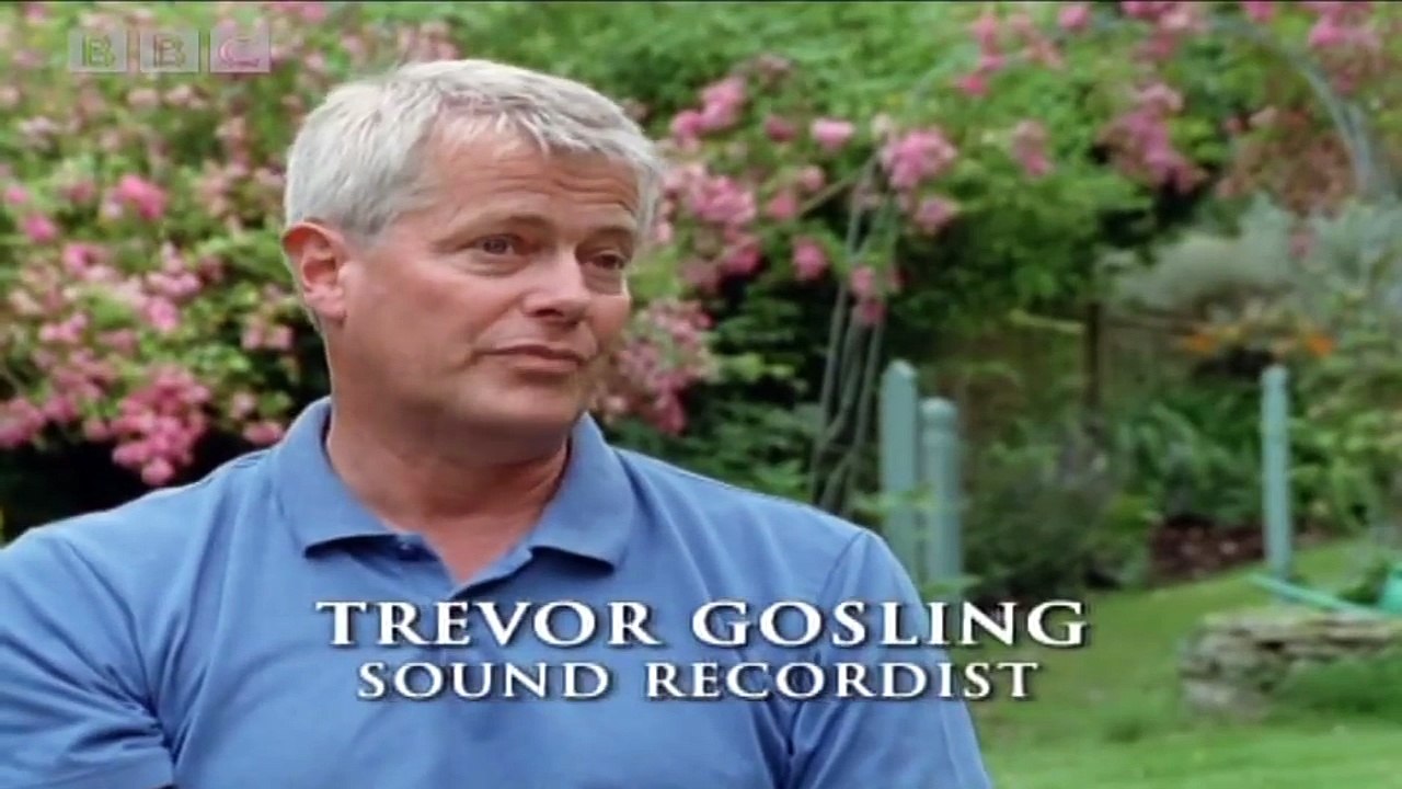 Sir David Attenborough on Vanity - Interview with Michael Palin - BBC