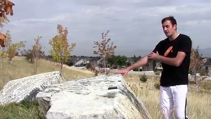 how to do speed vault