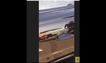 A Spider Hiding in a Car Door Handle