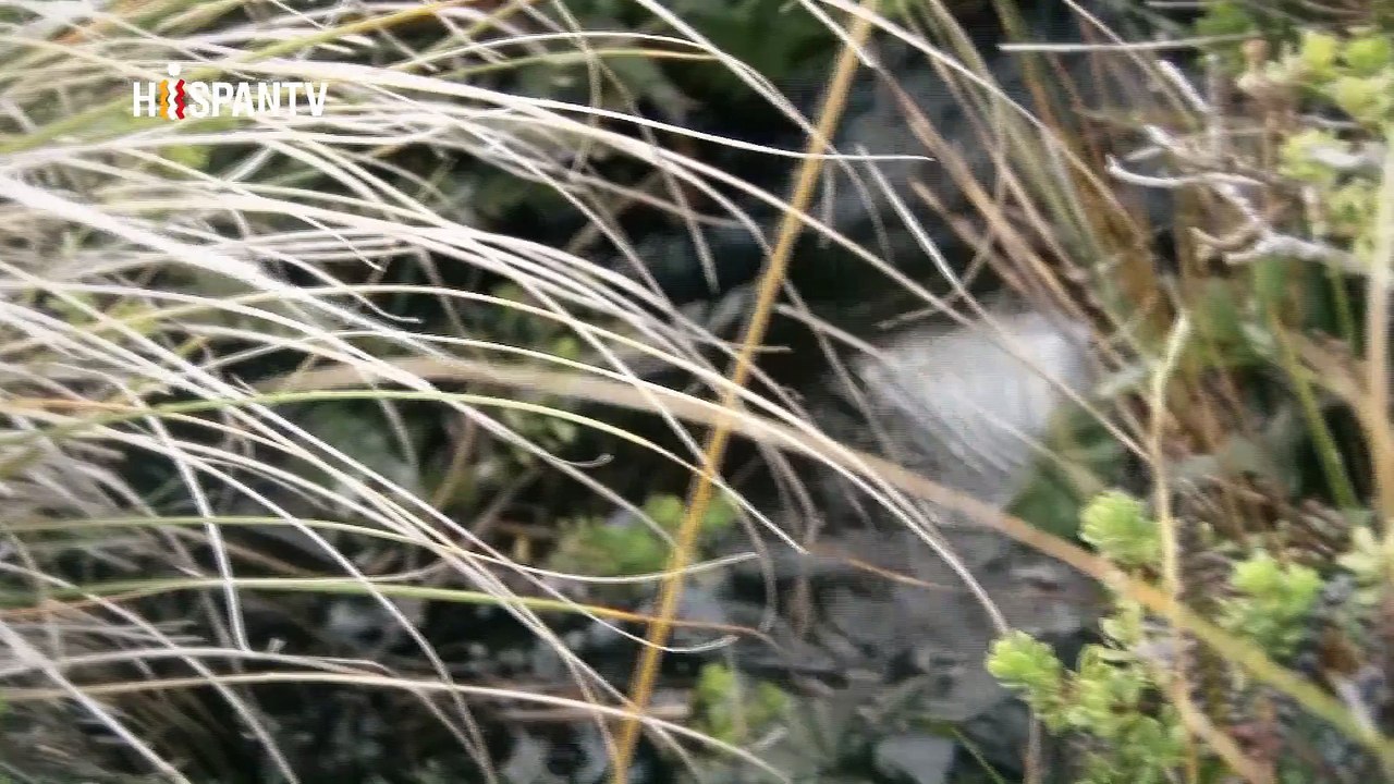 Malvinas batalla por la identidad