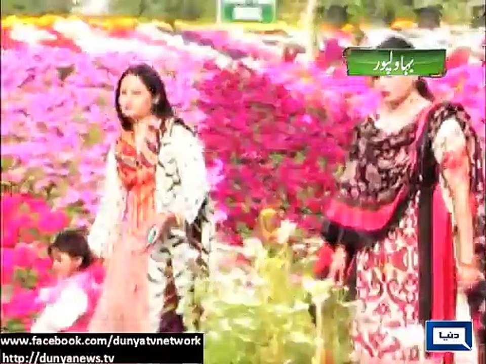 Dunya News - Bahawalpur: Spring festival continue in Noor Mehal