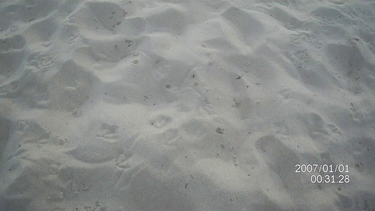 Beach 15