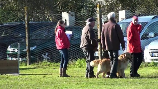 Concours d'obéissance ACP Haribo en classe 1