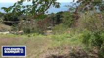 Caribbean Sea View Land Sale Rincon Puerto Rico