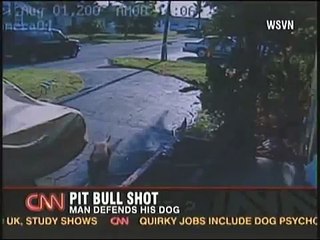 man shoots pit bull that attacked his dog