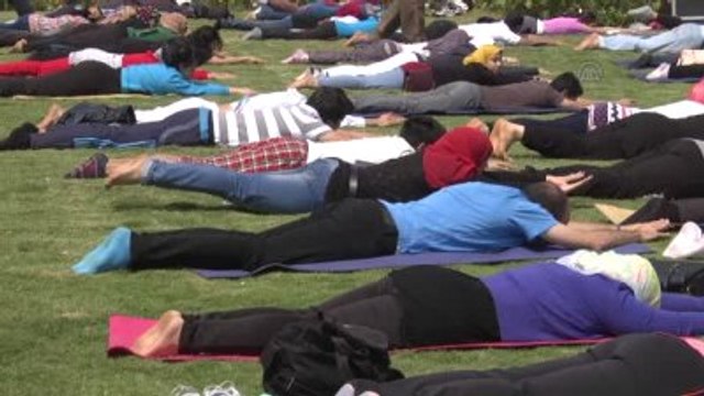 Kahire'de Nil Kıyısındaki Hindistan Festivali