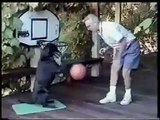 Dog playing the Basket Ball sincerely in very very Funny way