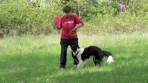 Chiara Zorzetto and Steve routine- disc dog frisbee freestyle dog training