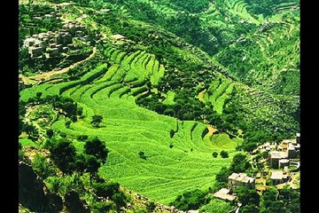 أغنية الحب والبن للفنان علي بن علي الانسي