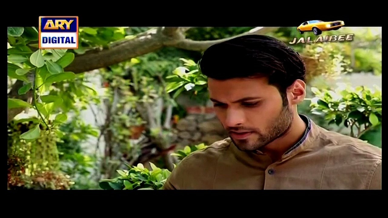 Dil Ka Kiya Rang Karun - Episode 6 - Hum Tv Drama - 4th April 2015