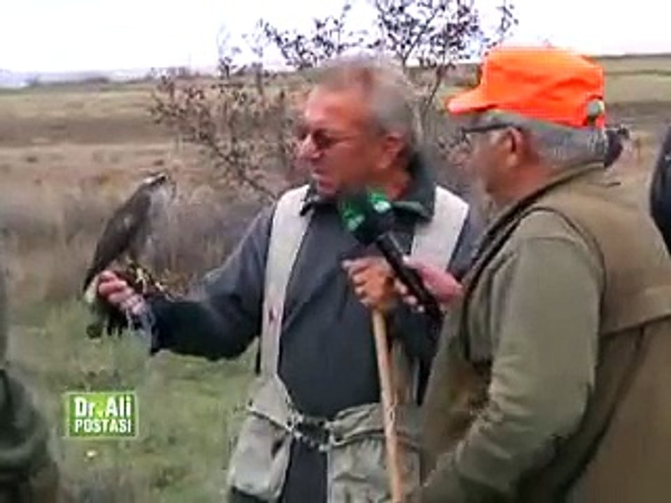 Atmaca ile Bıldırcın Avı Belgesel