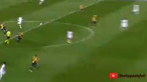 Luca Toni Incredible Goal | Hellas Verona vs Cesena (3-0) | 2015