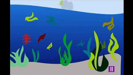 Animals Ocean movie funny educational videos for kids English