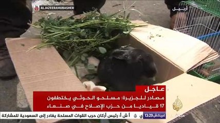 جولة في سوق الطيور بمدينة أربيل العراقية