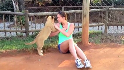 playing with lion cubs @ lion-park