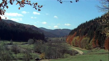 Ciprian Porumbescu [1972]