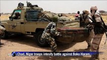 Troops from Chad and Niger seize weapons from Boko Haram