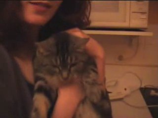 Vivons heureux en attendant la mort